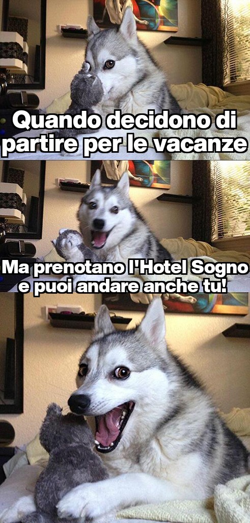 Hotel Animali ammessi accetta i cani e gatti